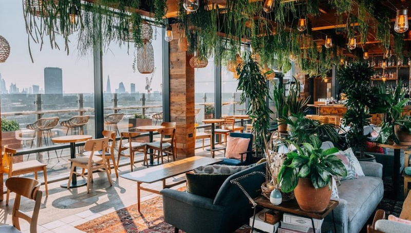 The Nest at Treehouse London